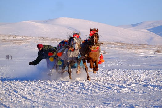 Dynamic image of horse sled racing in a snowy landscape. Perfect for winter sports and adventure themes.