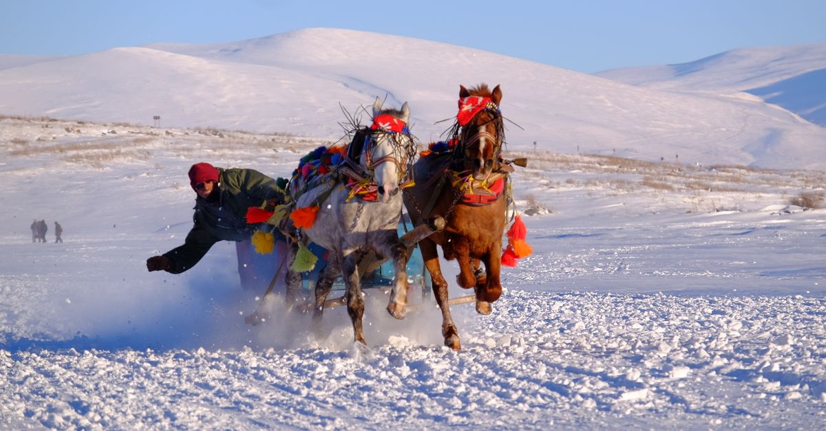 Man Riding Sled Man Riding a Sled on Snow Covered Ground · Free Stock Photo
