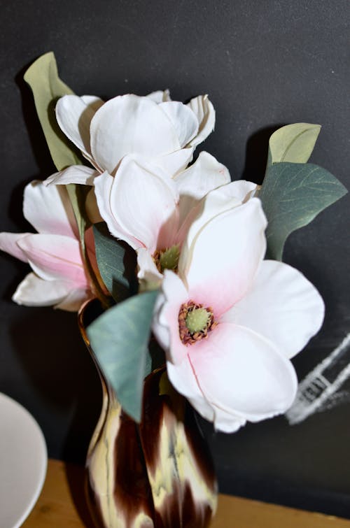 High angle of fresh blossoming magnolia in vase placed on table near black wall