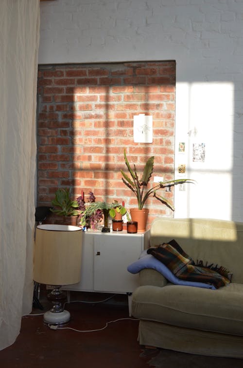 Free Room with soft sofa near lamp and assorted plants on cabinet in house with shadow on brick wall Stock Photo