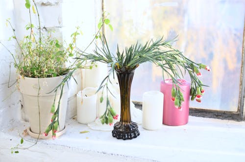 Free Vase with blossoming flowers near Maidenhair in pot and wax candles against window at home Stock Photo