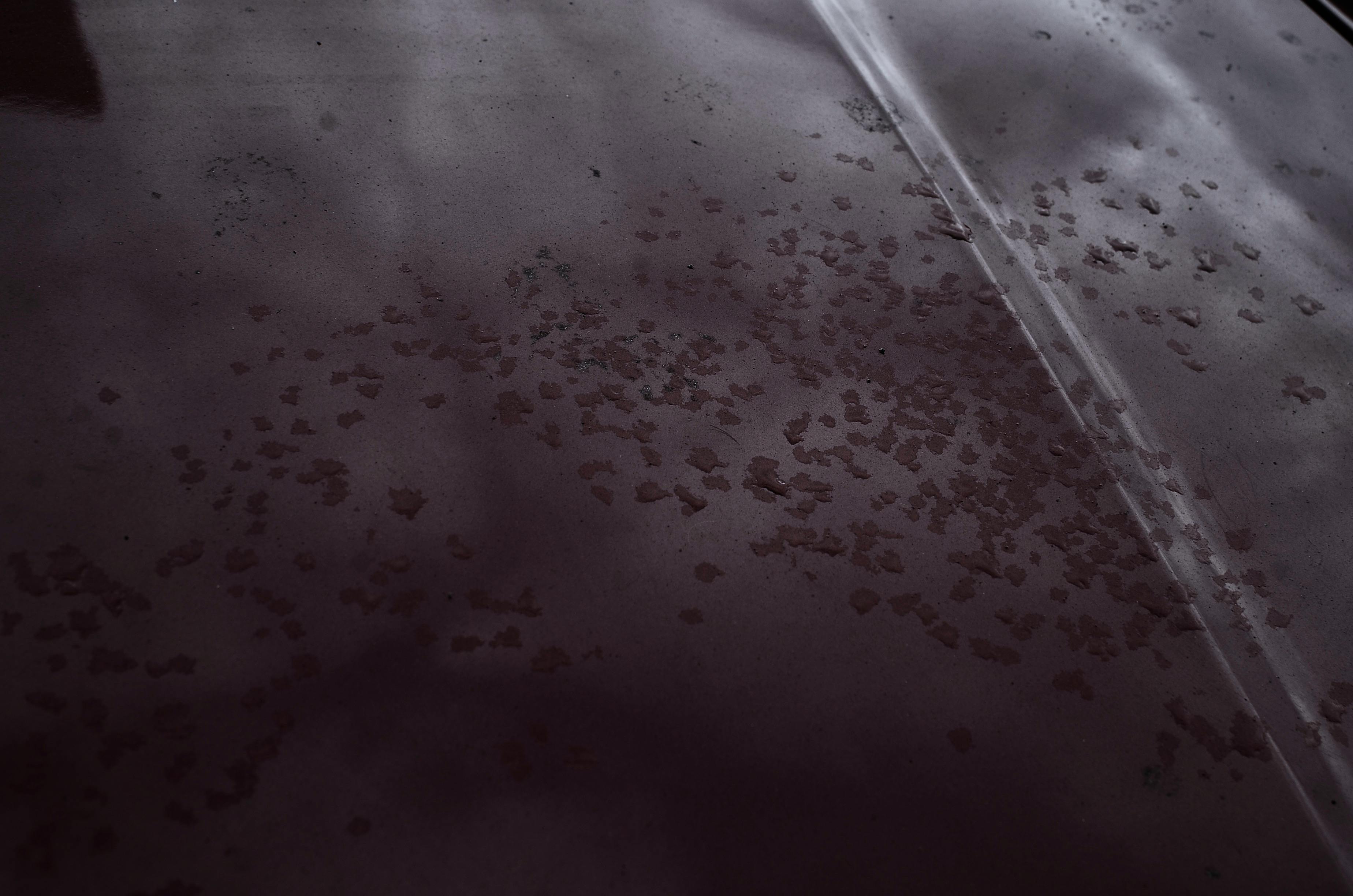 Will a metal roof cause mold?