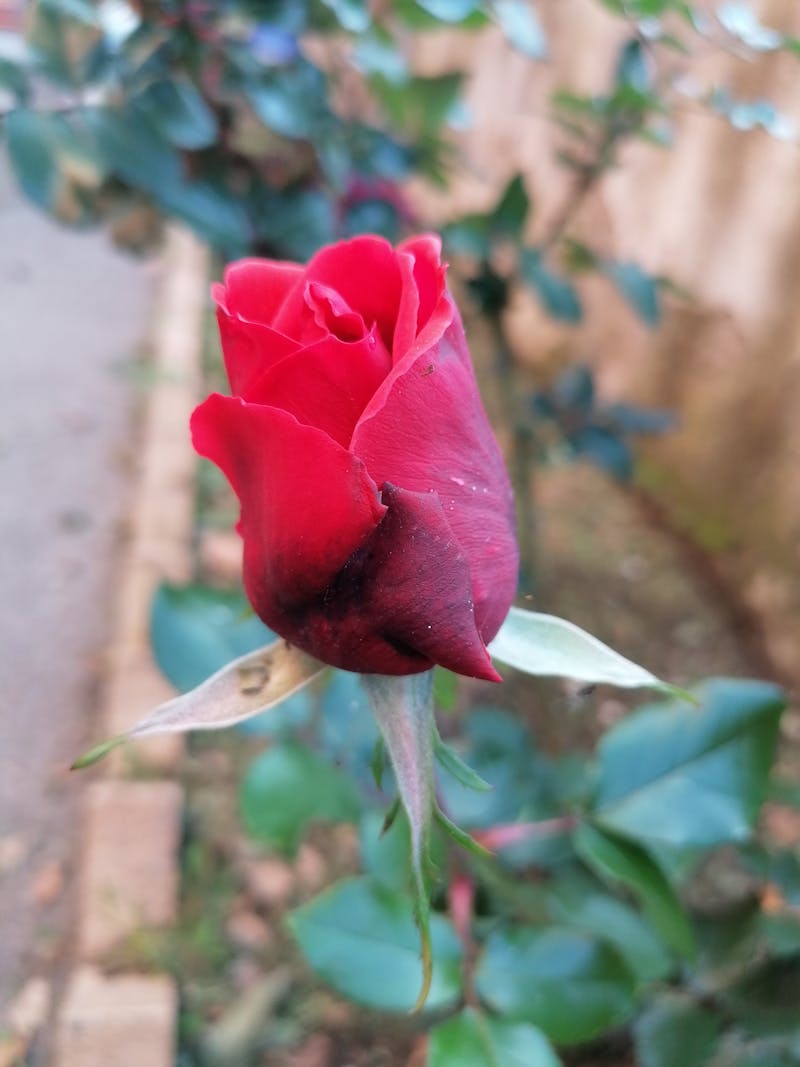 Traditional Japanese kiln with pottery
