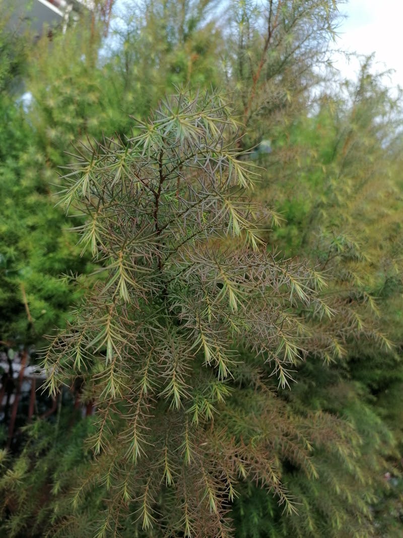 Master potter working in traditional studio