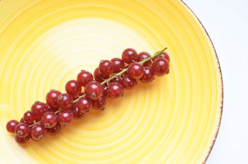 From above of ceramic plate with sprig of fresh red berries on white table