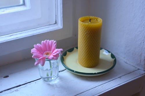 High angle of pink gerbera in glass and yellow candle on plate placed on wooden windowsill near white window in room