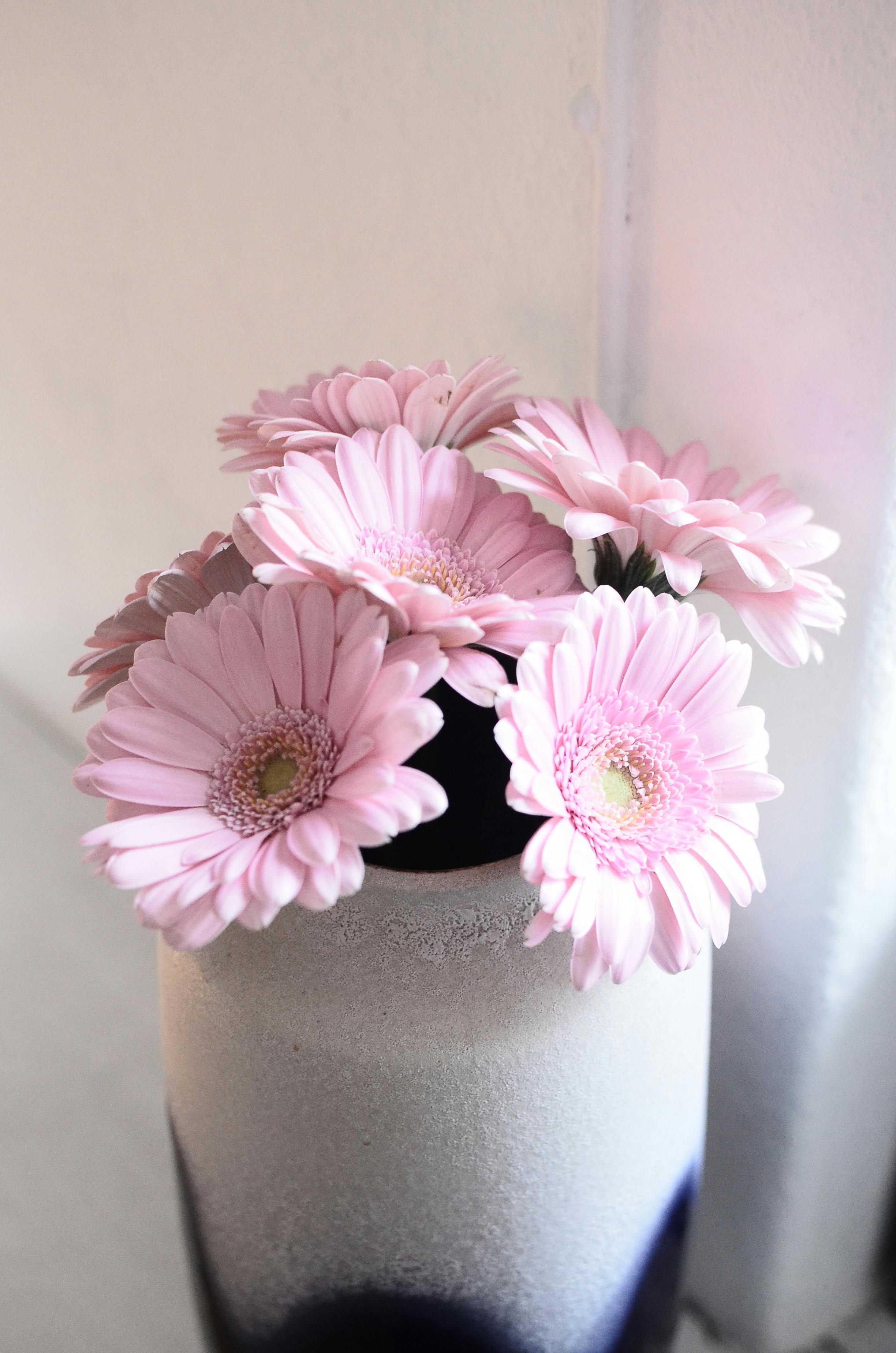 white vase with fresh gerberas