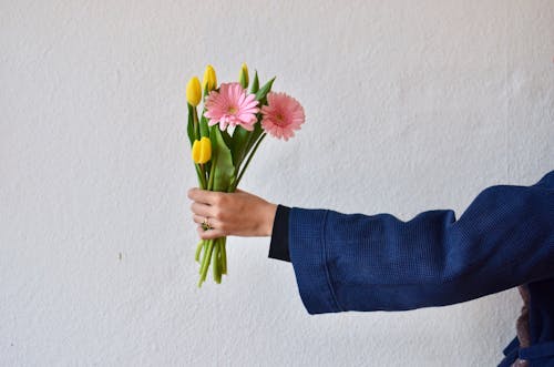 Free Unrecognizable person wearing blue jacket demonstrating bouquet of yellow tulips and pink gerberas in hand on white background during holiday Stock Photo