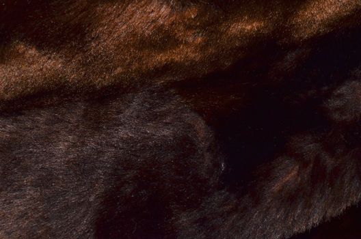 Full frame abstract background of soft natural material with uneven smooth pile surface