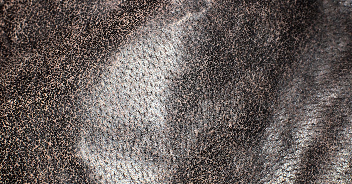 How to clean wool coat lint