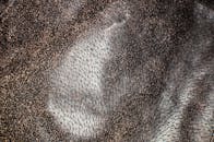 Texture of leather fabric with fur