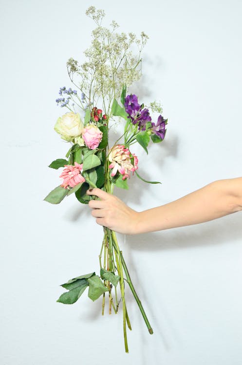 Unrecognizable person demonstrating bouquet of delicate roses gypsophila and purple alstroemeria flowers on green stems on white background in studio