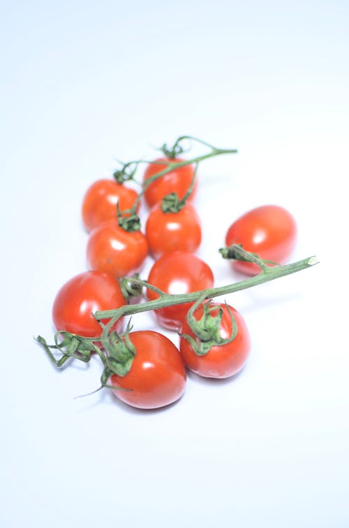 Pile of ripe tomatoes on branch