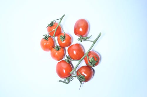 Rote Tomaten Auf Weißem Hintergrund