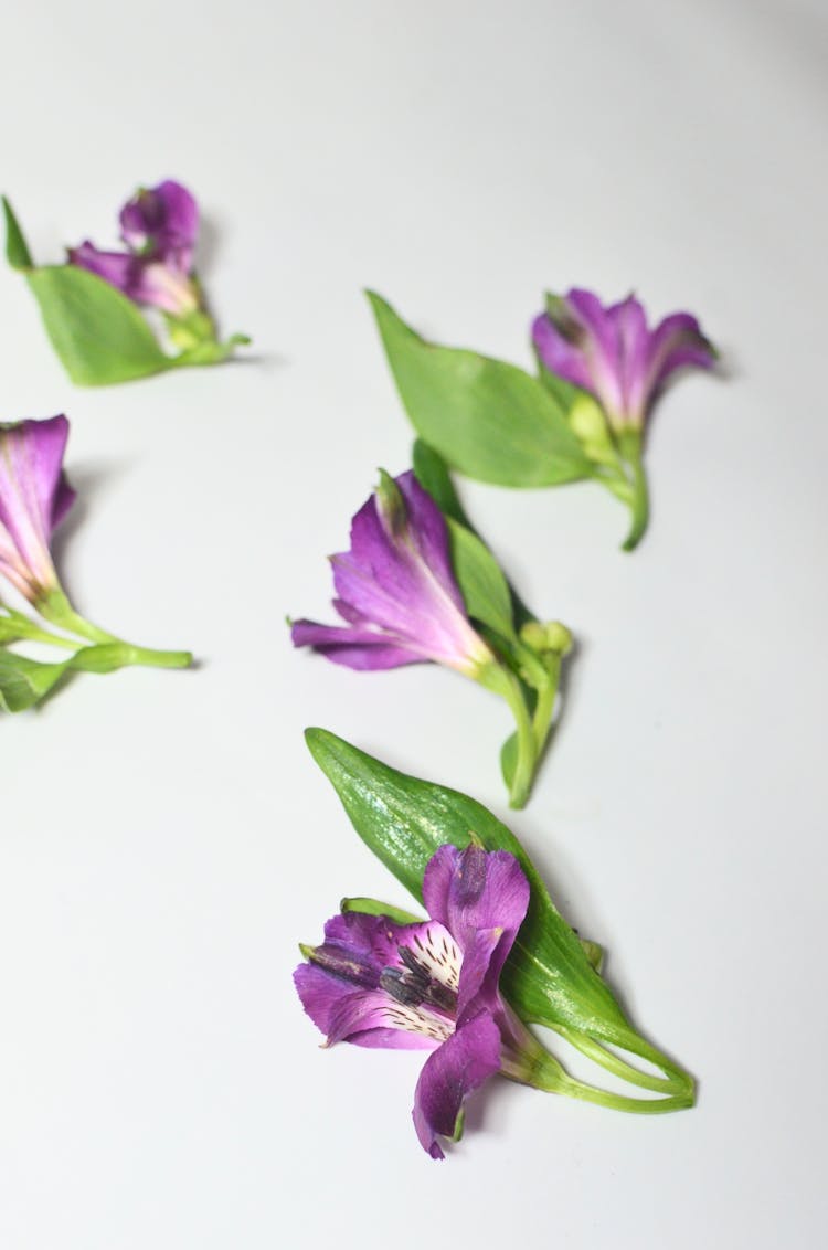 Bunch Of Alstroemerias On White Surface