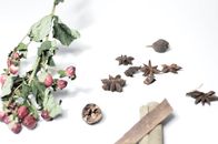 From above of cinnamon with nutmeg near anise and hypericum with dried green leaves on stems on white background