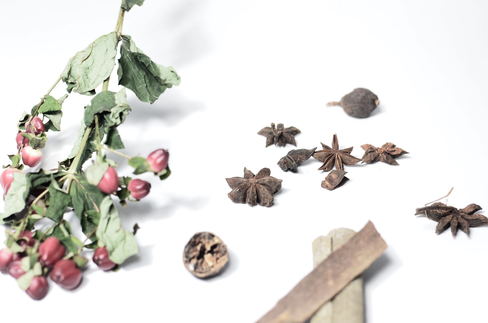 From above of cinnamon with nutmeg near anise and hypericum with dried green leaves on stems on white background