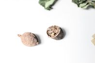 Cracked nutmeg placed on white surface