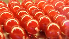 Candied sweet berries in light