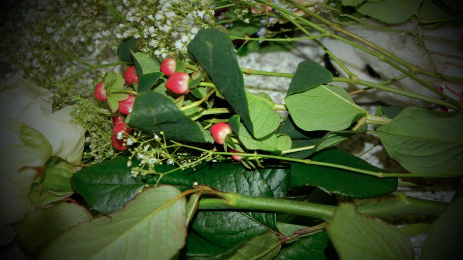 berriesandleafygreens