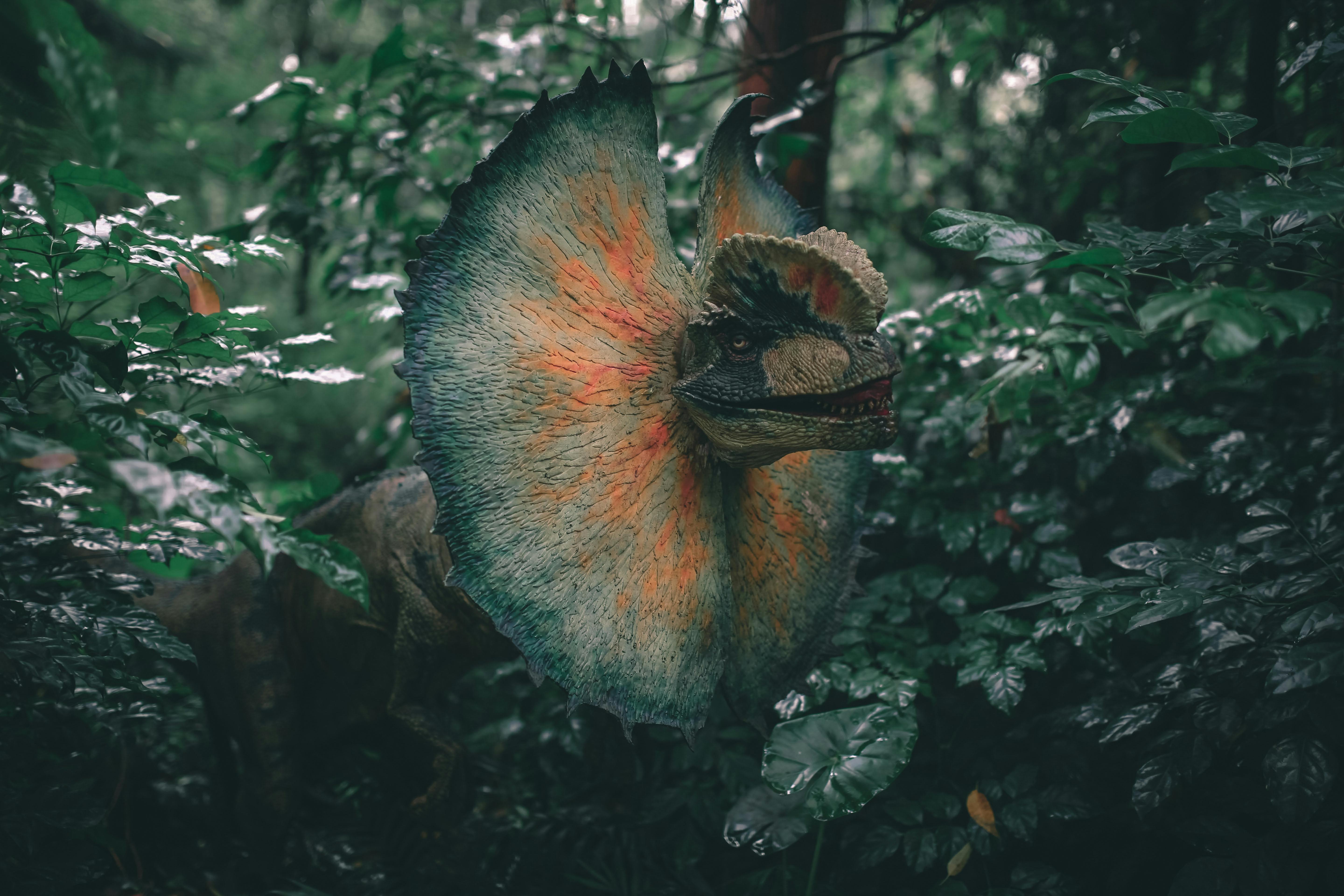 Study: Dinosaurs’ Free-Range Parenting Strategy Fundamentally Reshaped Mesozoic World — Photo by Mehmet Turgut  Kirkgoz on Pe