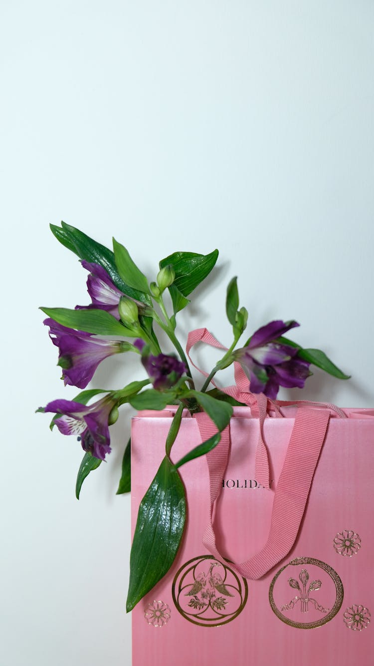 Violet Flower In Pink Paper Bag