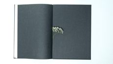 Top view of opened book with black pages with small thin twig of white gypsophila plant