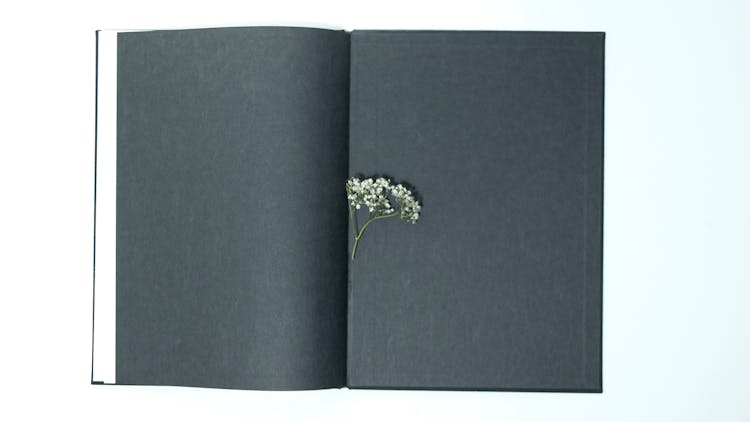 Opened Book With Black Pages With Small Plant