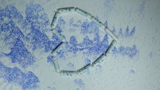 Cotton tampons placed in shape of heart