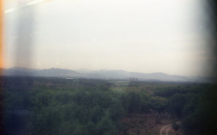 Mountains Behind Lush Forest In Countryside