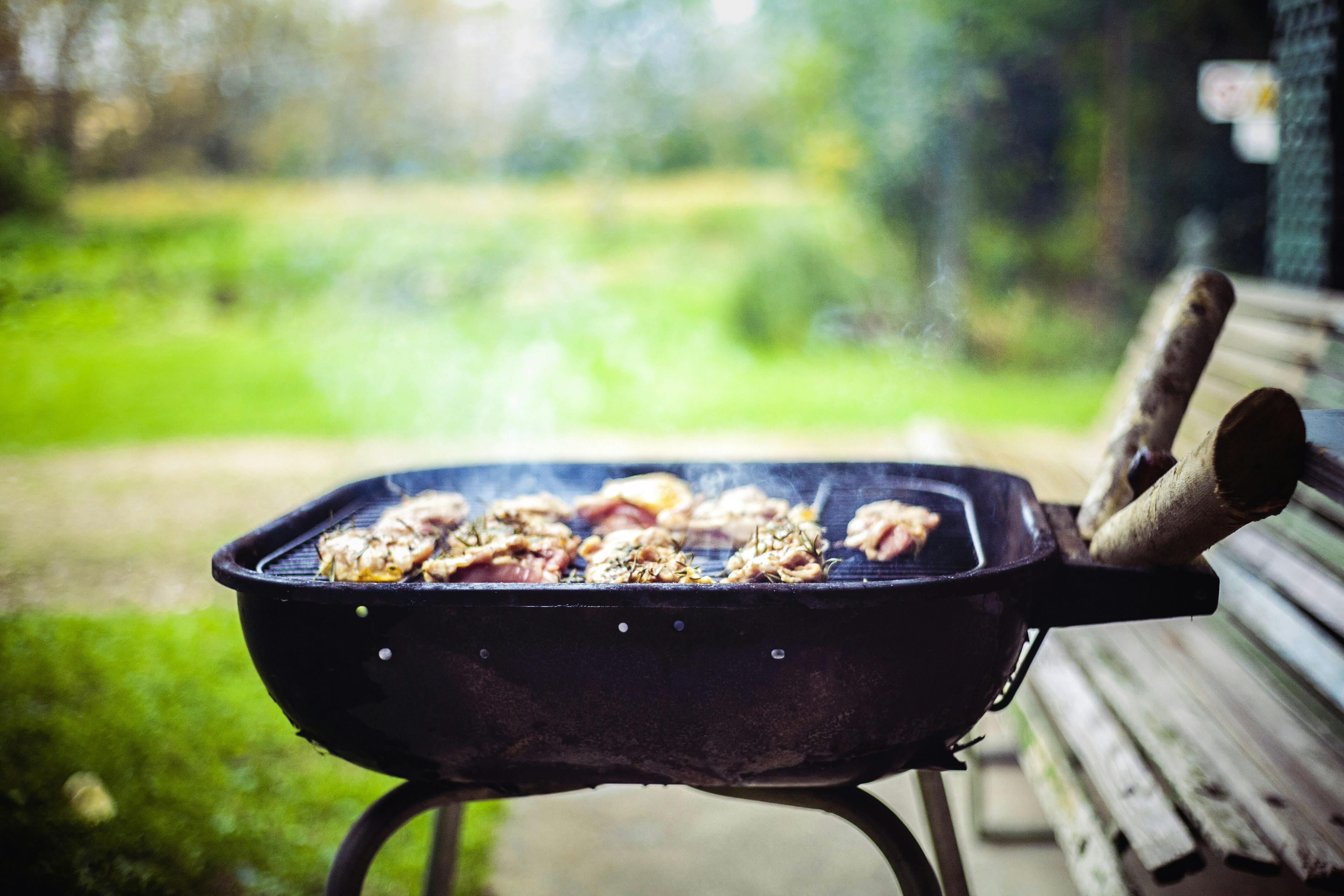 Free stock photo of barbecue, cook out, food cooked on a grill