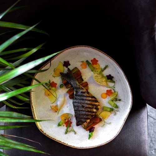 Free A beautifully arranged grilled fish dish with fresh vegetables on a ceramic plate, perfect for gourmet dining. Stock Photo