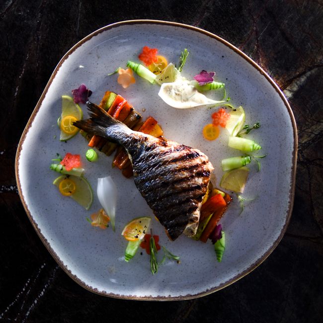 Gourmet grilled fish elegantly plated