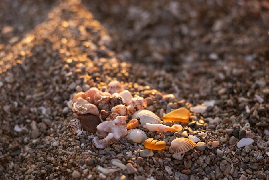 A close-up of seashells and pebbles on a sunlit beach, creating a natural pattern.