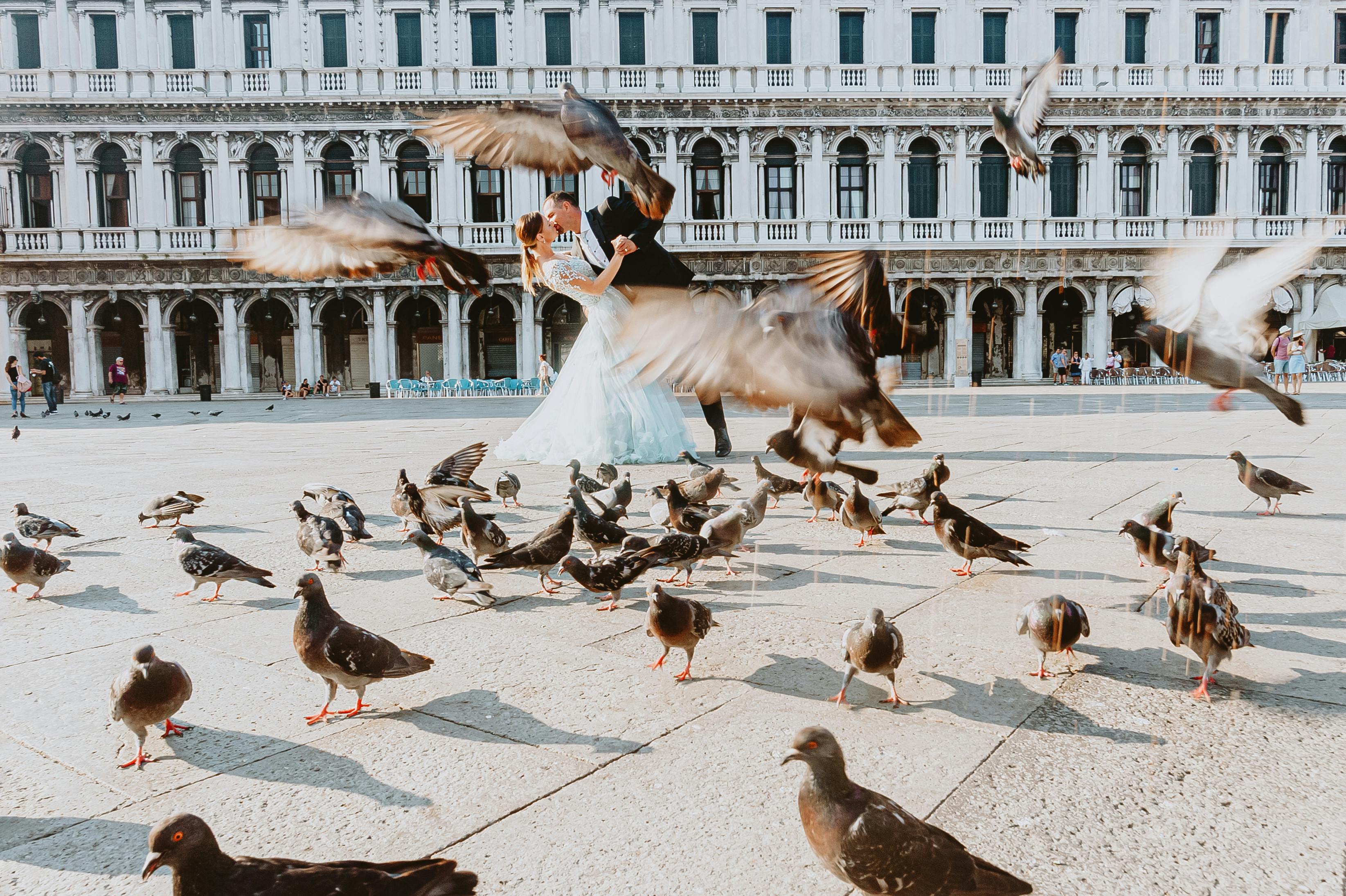 A couple embraces in a romantic pose amidst pigeons in a Venice piazza.