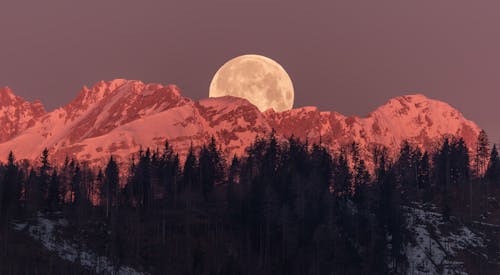 Foto d'estoc gratuïta de a l'aire lliure, cobert de neu, lluna