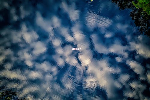 Immagine gratuita di acqua, alberi verdi, barca