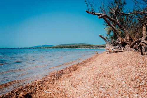 Free A tranquil beach with driftwood, clear water, and a bright blue sky, perfect for a nature getaway. Stock Photo