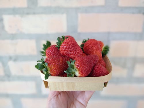 Free Person Holding Red Strawberries in Brown Wooden Tray Stock Photo
