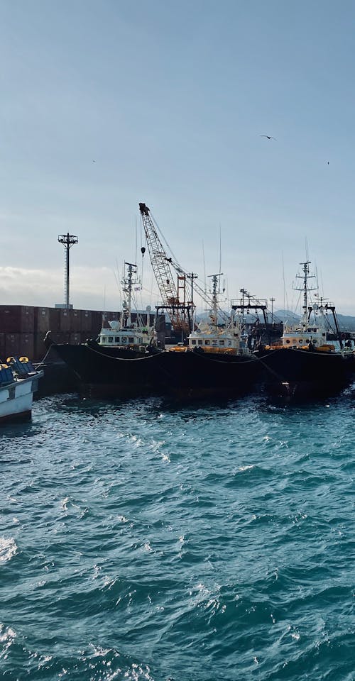 Photos gratuites de bateau de mer, ville côtière