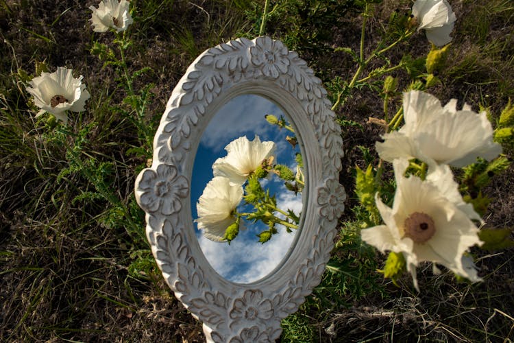 Framed Mirror Showing Reflection Of White Flowers