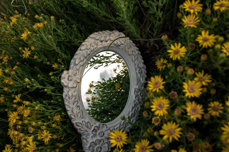 Mirror On A Bed Of Flowers