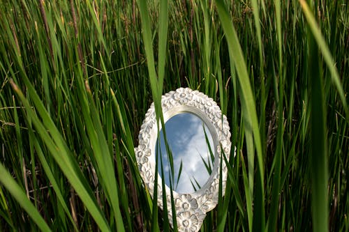 Free White Oval Shaped Mirror on Green Grass Stock Photo