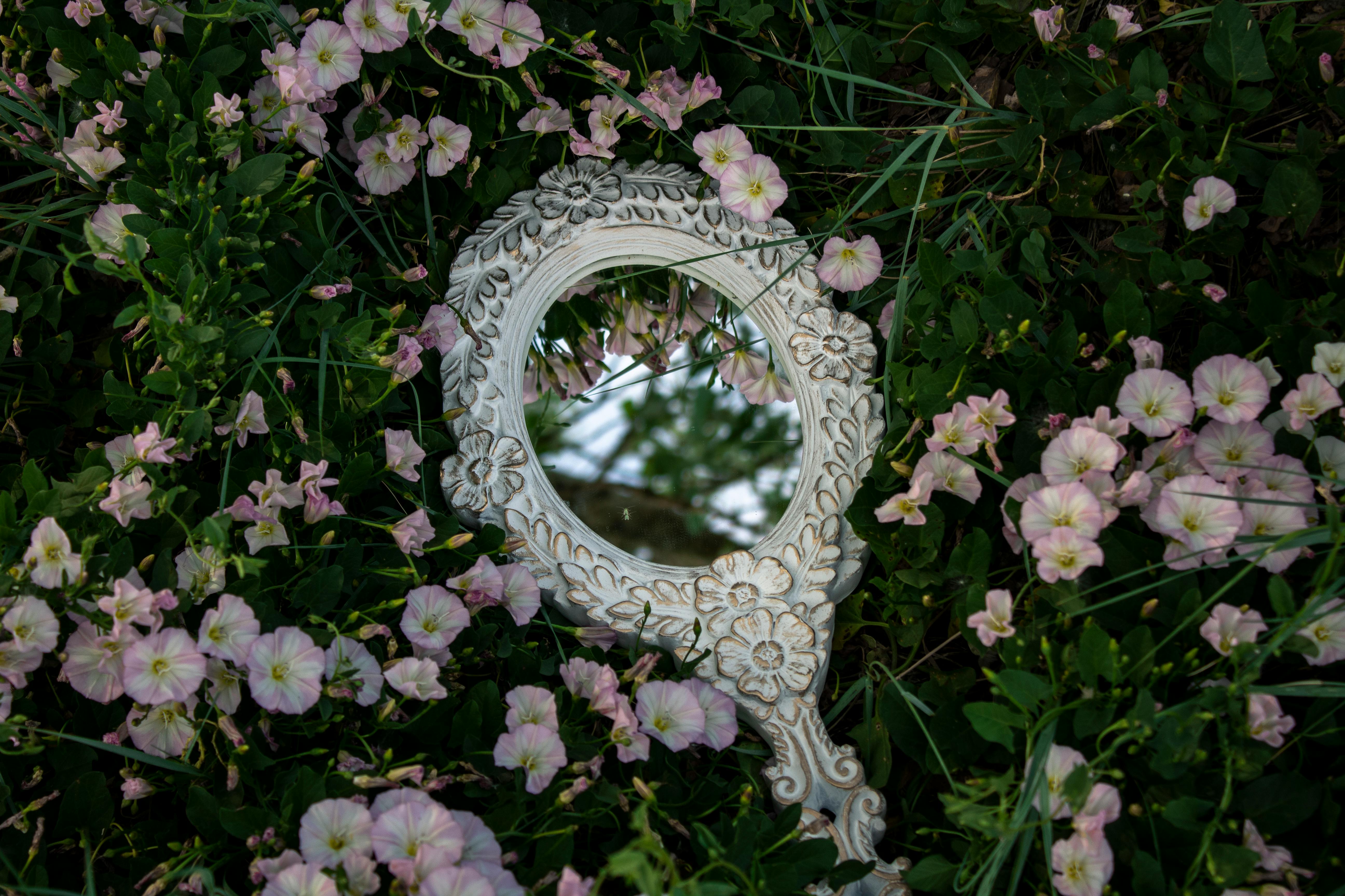 Decorative floral mirror reflecting sky amidst blooming petunias in a vibrant garden setting.