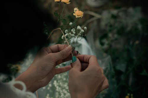 Free Person Holding Yellow and White Flowers Stock Photo