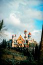Colorful castle against trees in amusement park