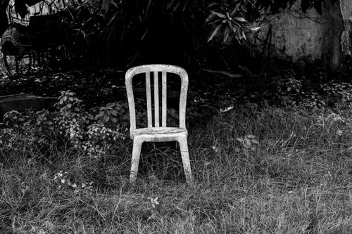 Free A solitary chair stands in an overgrown garden, captured in black and white. Stock Photo