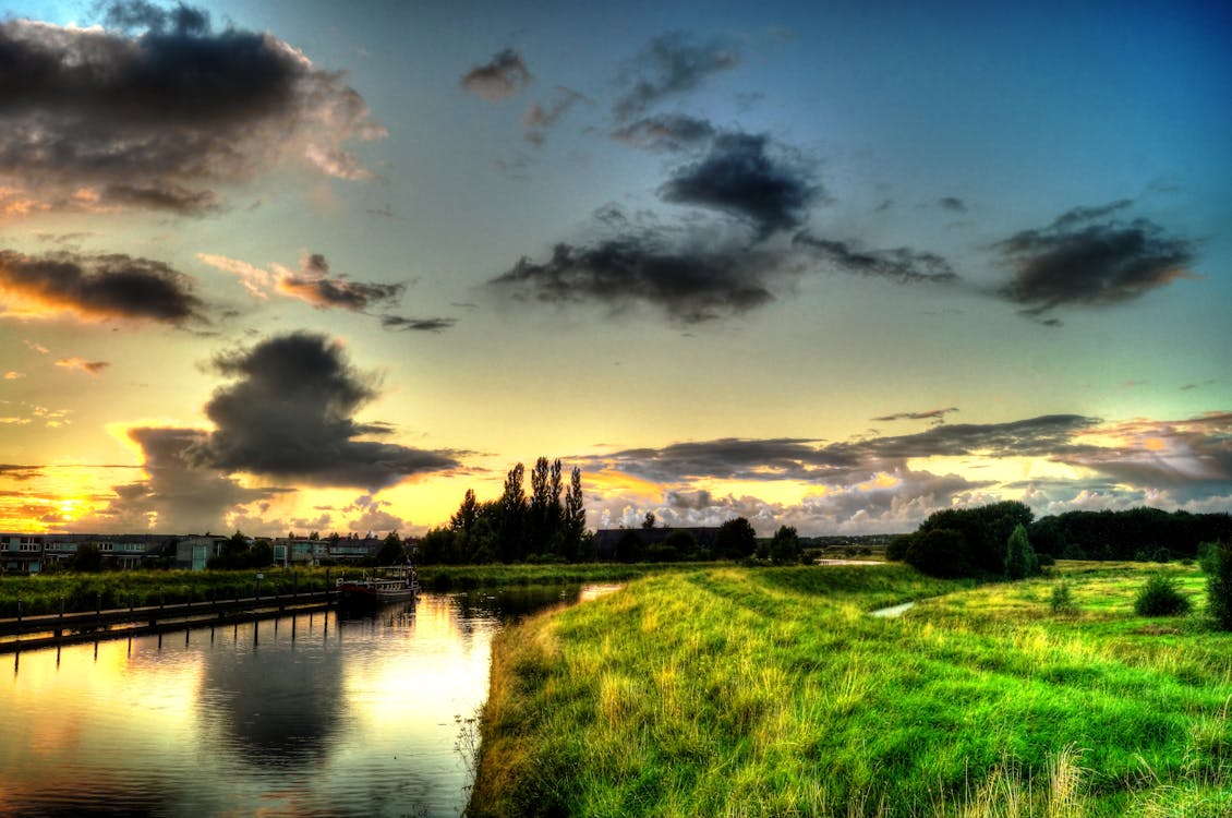 River Beside Plants during Golden Hour Nature Photography