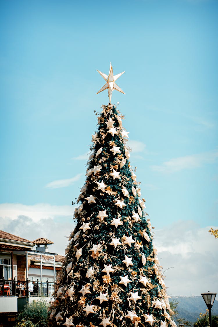 Decorated Christmas Tree In Village On Sunny Winter Day