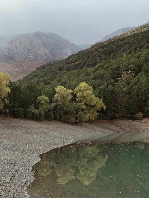 Lake surrounded by lush green forest growing in mountainous valley on foggy day